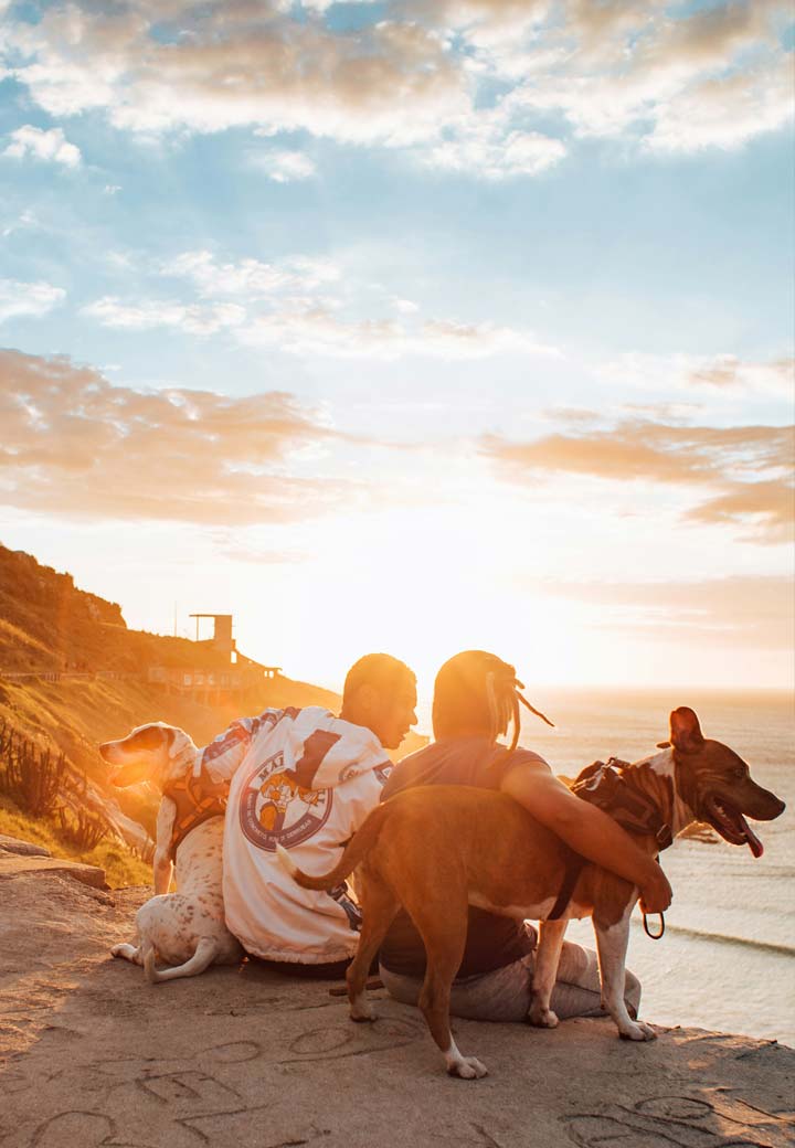 Traveling with Pets: Tips for a Safe Journey