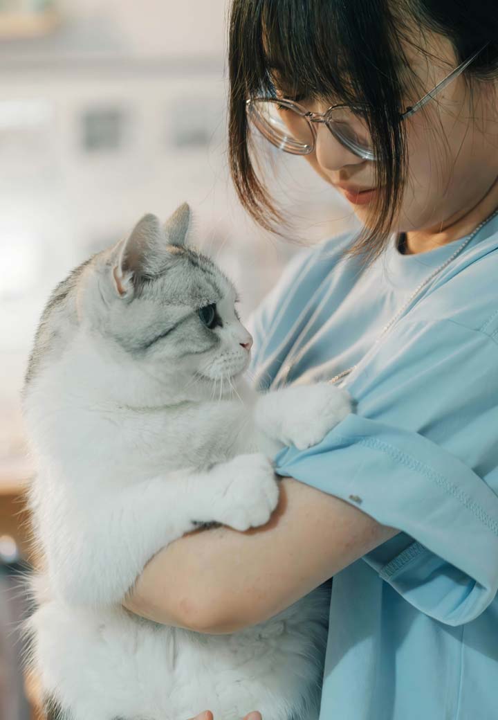 Pet First Aid: What to Do in Common Emergencies